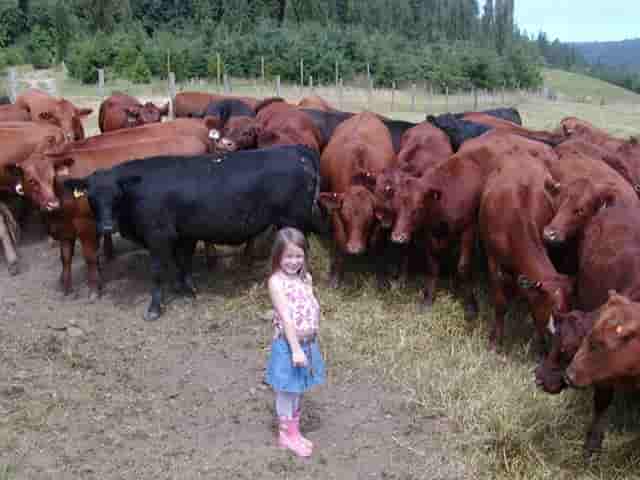 Lillie with grass fed beef seattle grass fed beef washington state